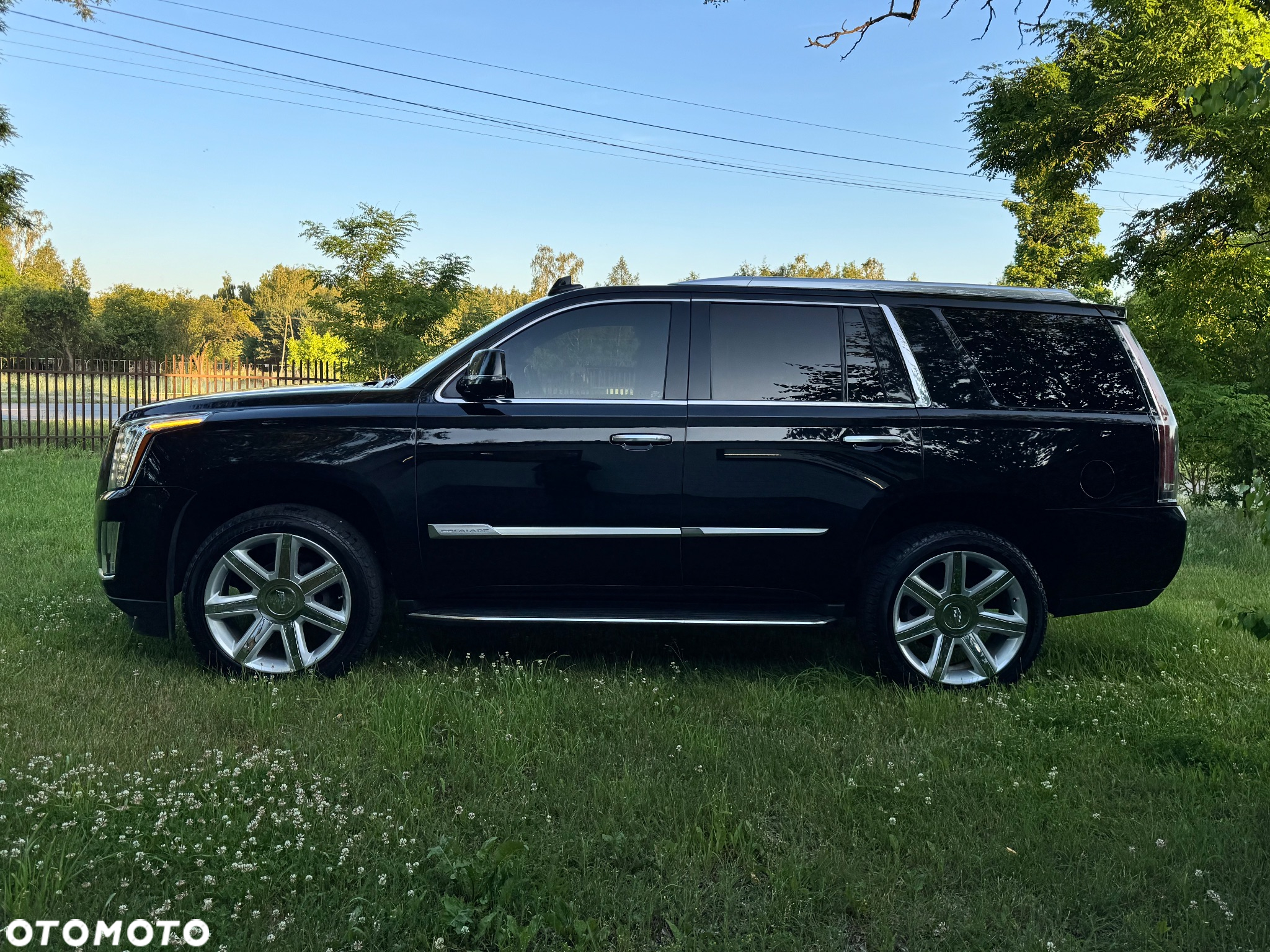 Cadillac Escalade 6.2 V8 AWD AT Premium - 13