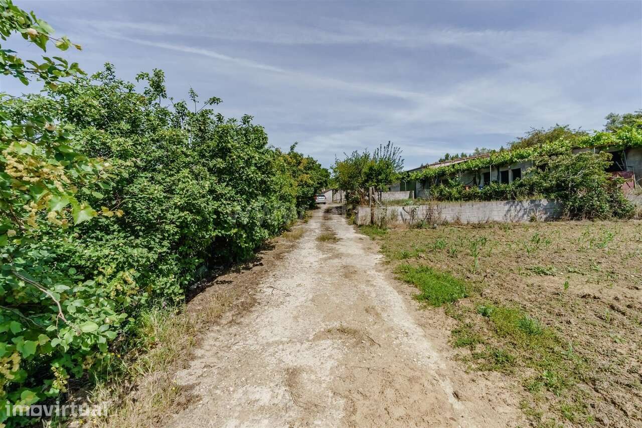 Quinta T1 / Fundão, Salgueiro - Grande imagem: 3/20