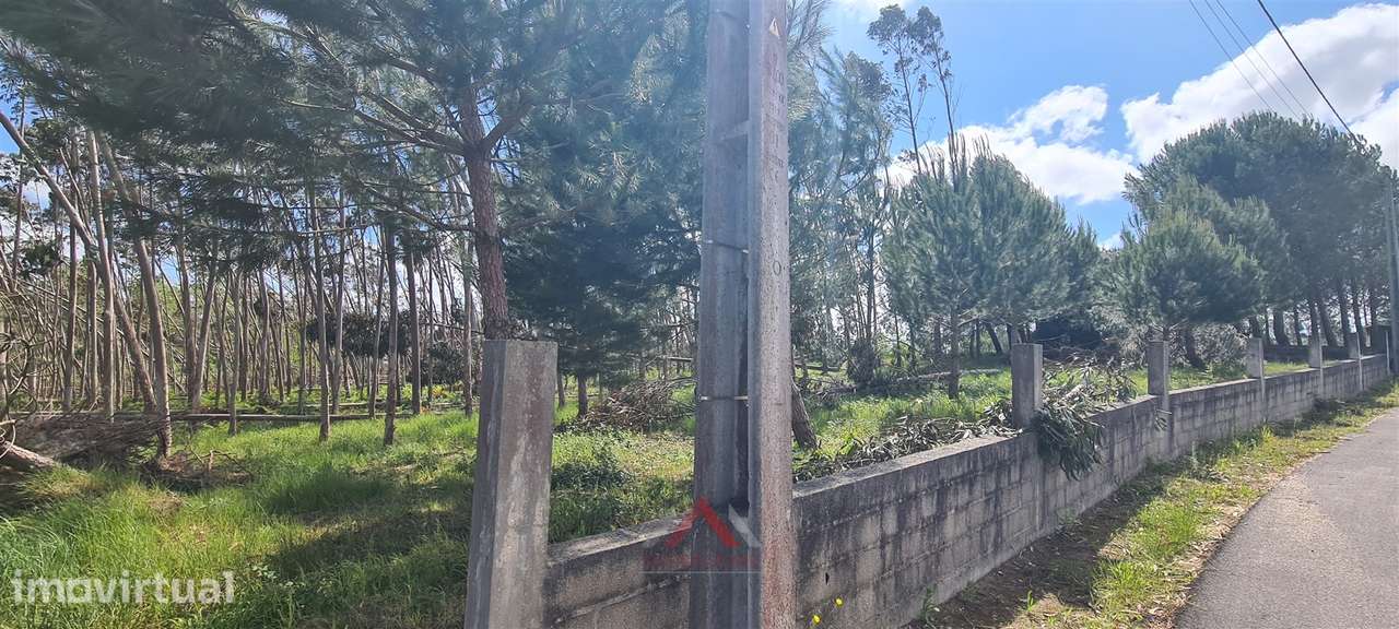 Quintinha / Terreno 15.000M2 Maceirinha - Grande imagem: 2/9