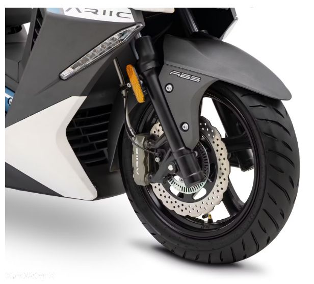 Ariic 318 - 13