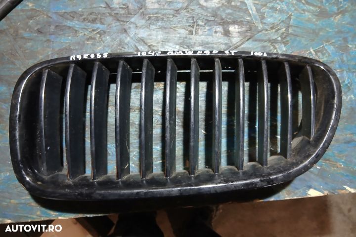 Grila radiator 2165539 7203649 7200727 2165539 7203649 7200727 BMW Se - 1