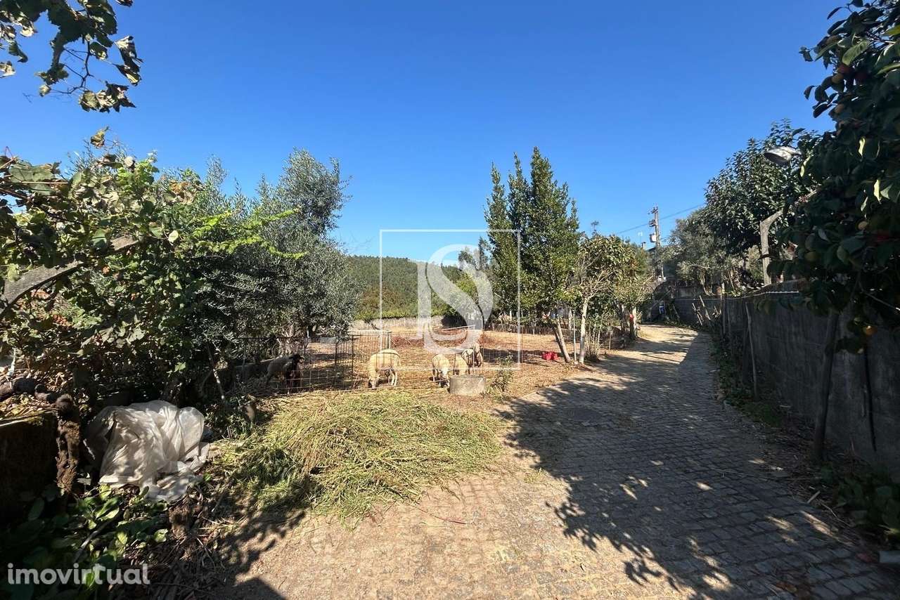 Terreno  Venda em Pala,Mortágua - Grande imagem: 4/20