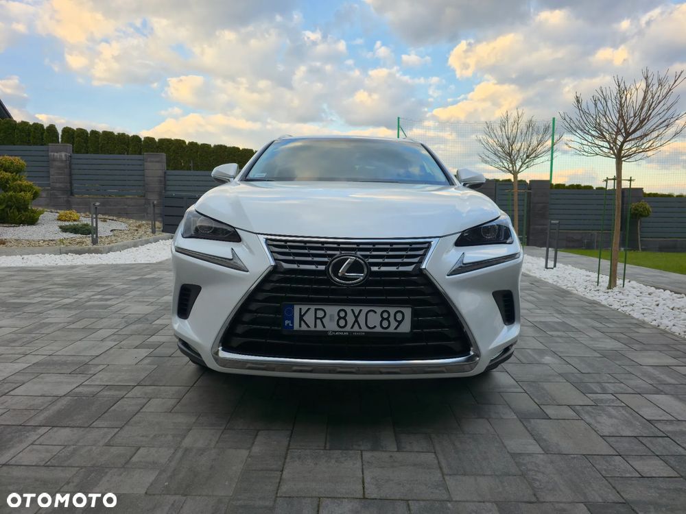 Lexus NX 300 GPF Comfort AWD - 6