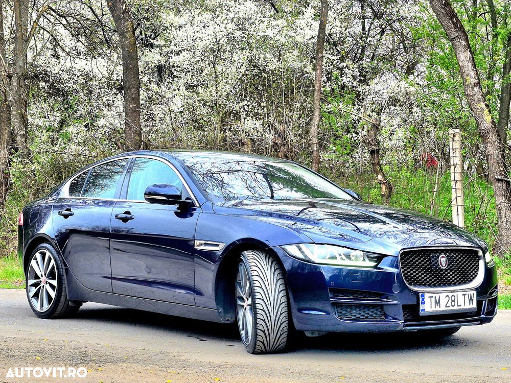 Jaguar XE 20d Aut. Portfolio - 12