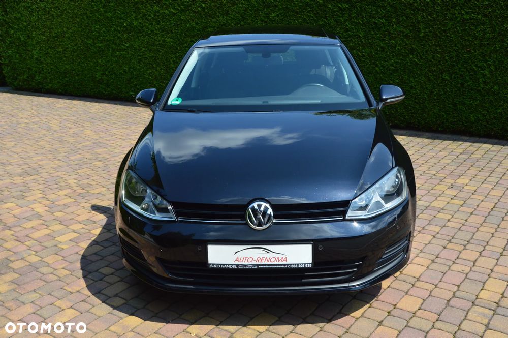Volkswagen Golf - 34