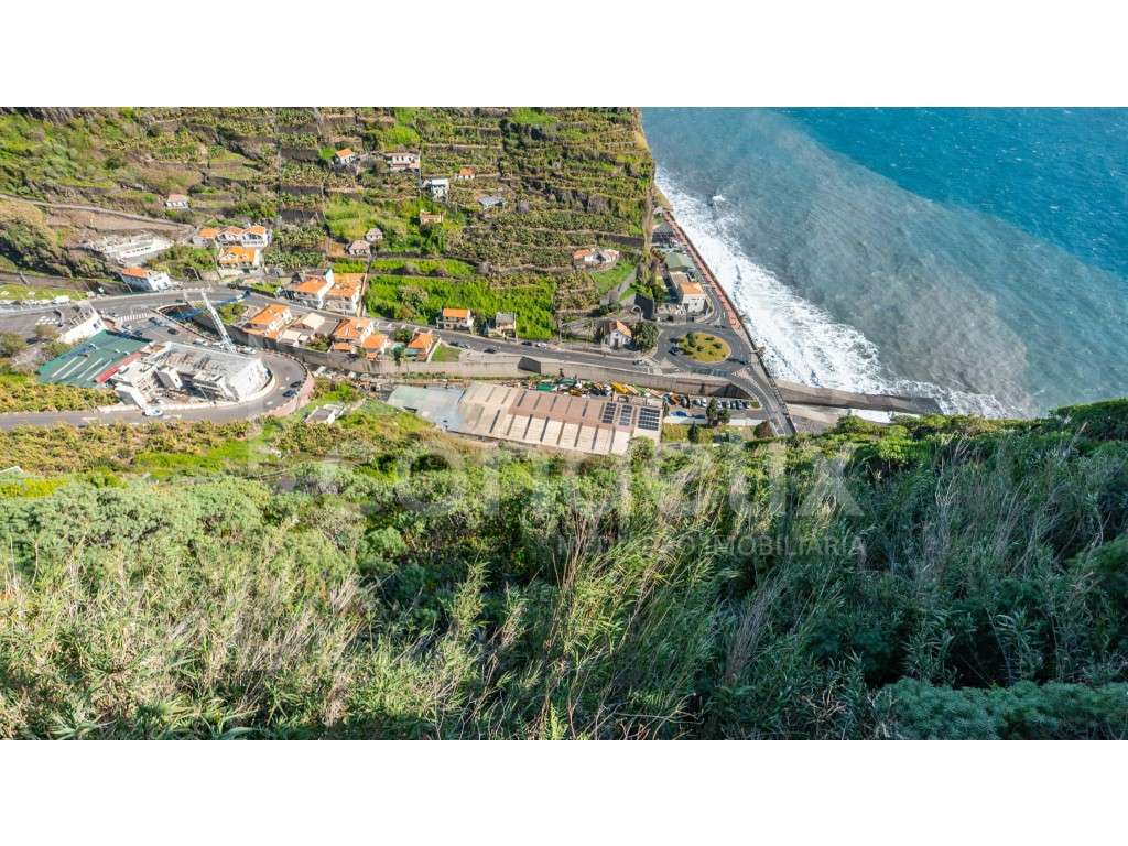 Tabua Eco Resort: A Symphony of Luxury and Nature - Grande imagem: 5/9