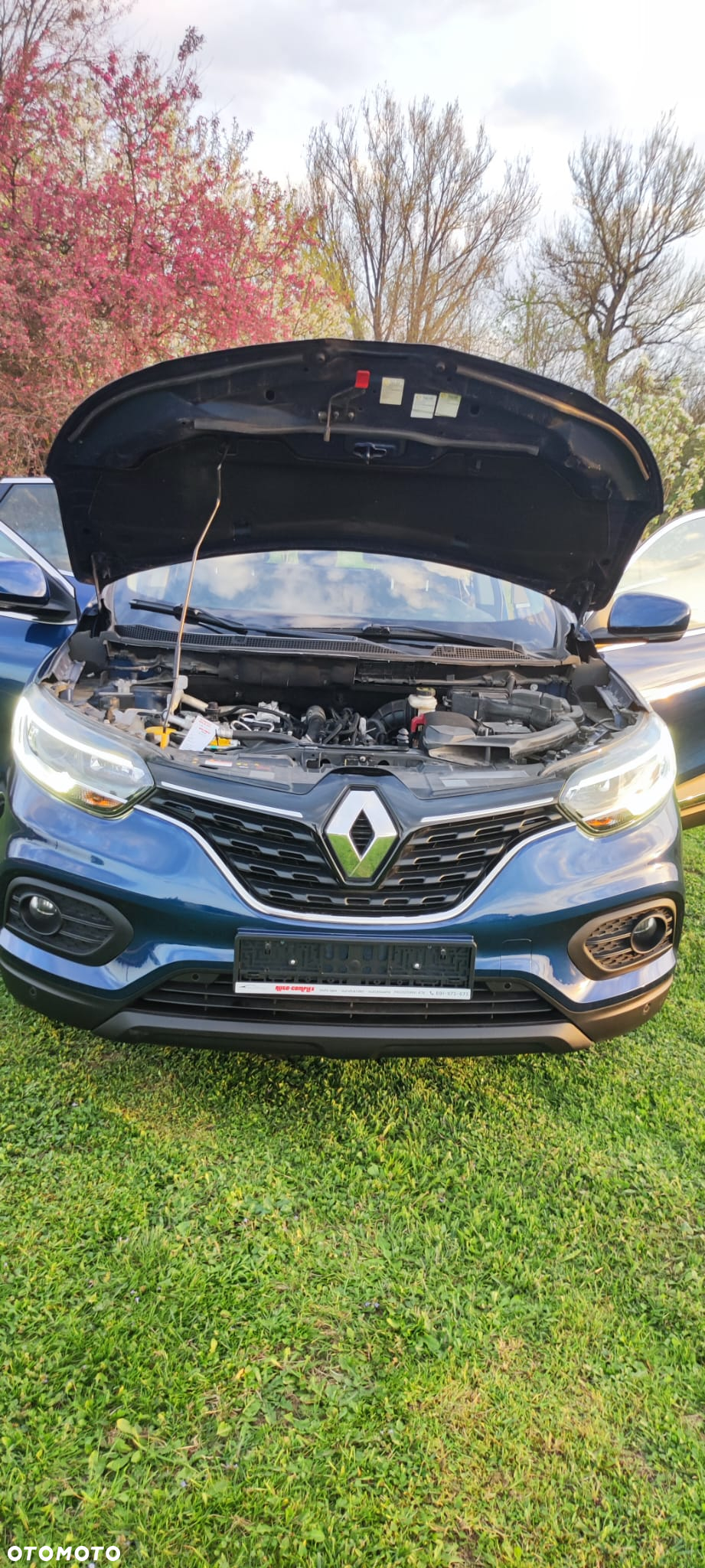 Renault Kadjar - 13
