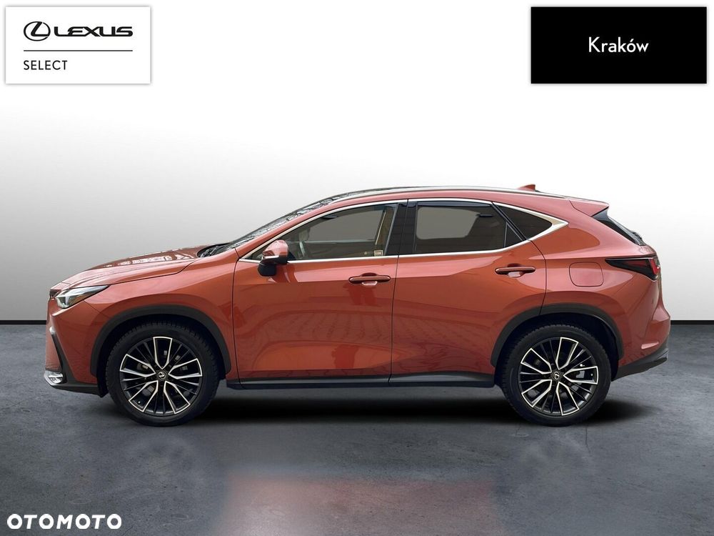 Lexus NX 350h Omotenashi AWD - 2