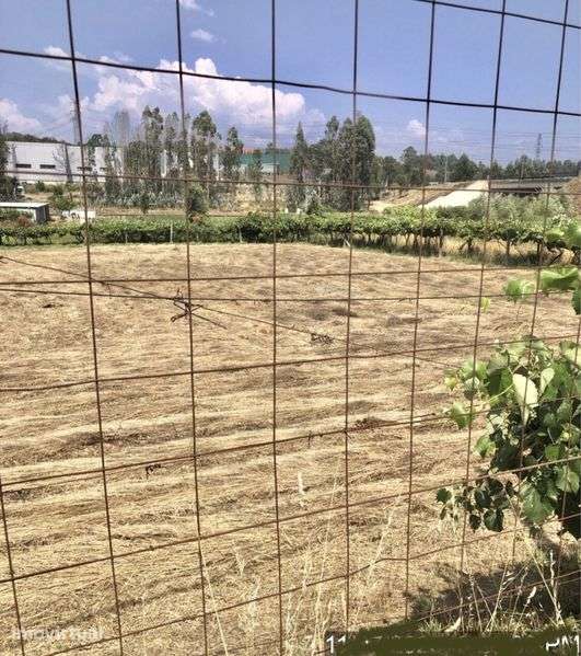 Vendo Terreno Industrial - Grande imagem: 5/6