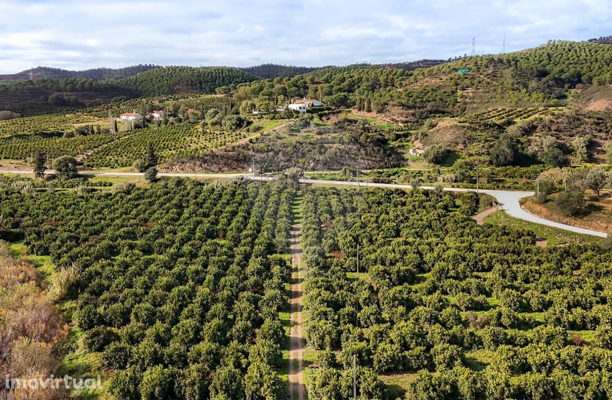 Quinta T13 para venda - Grande imagem: 5/15