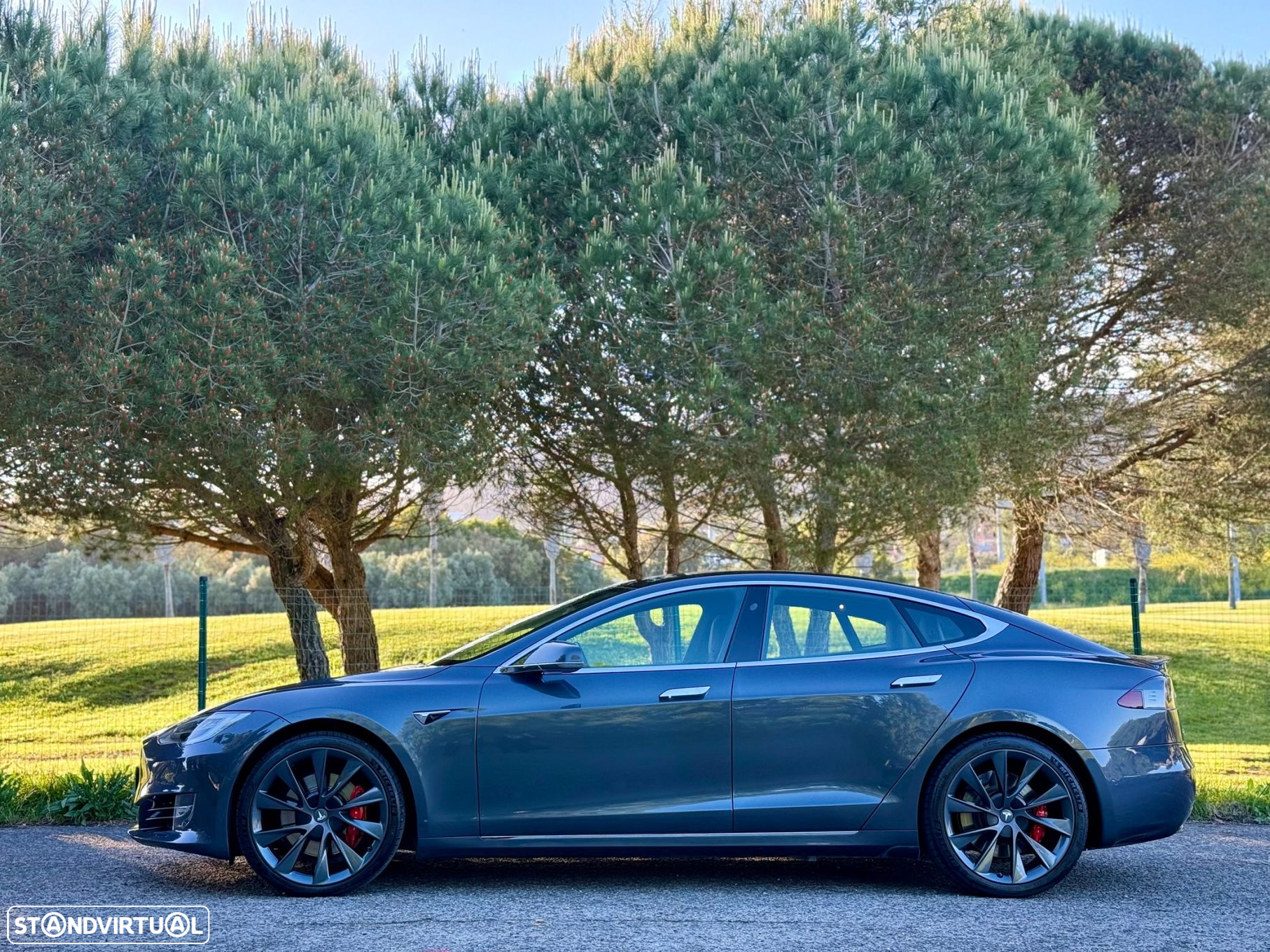 Tesla Model S Performance Ludicrous AWD - 8