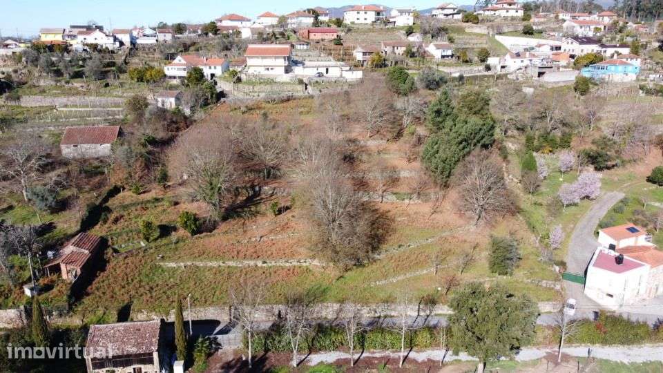 Quinta – São Pedro do Sul - Grande imagem: 3/38
