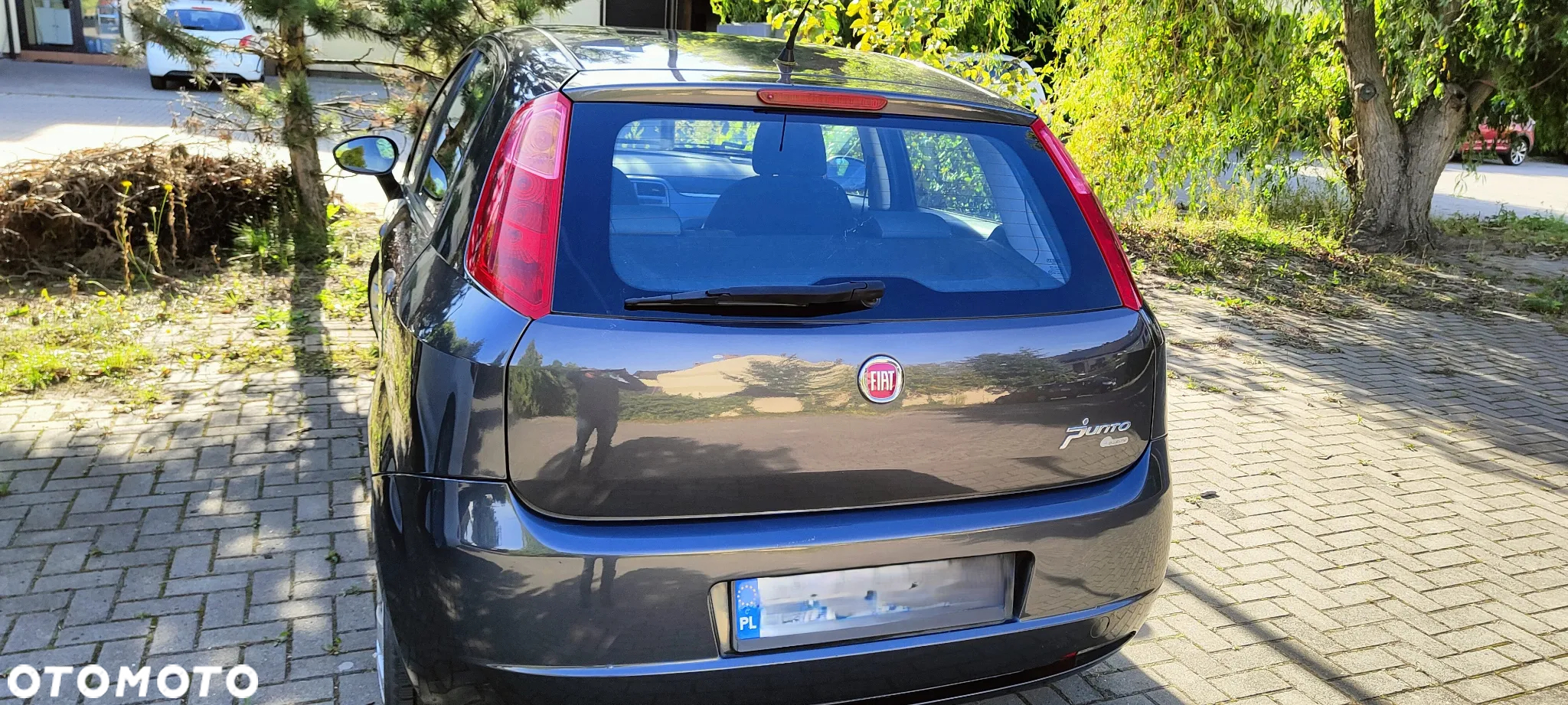 Fiat Punto - 5