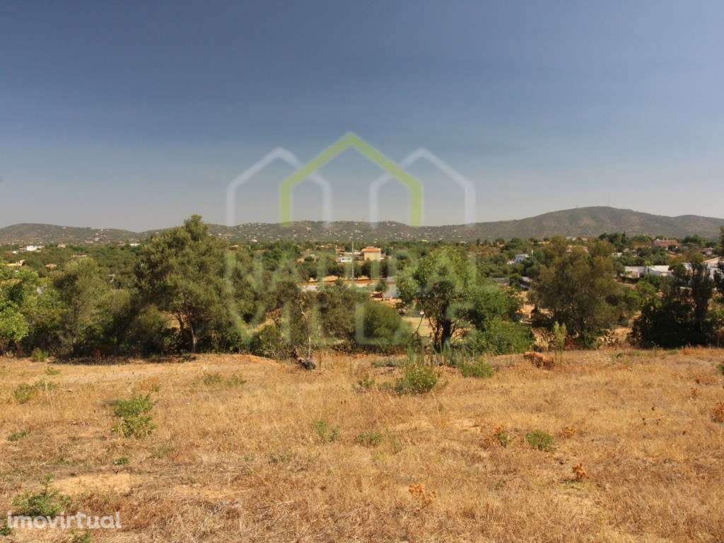 Terreno Rústico Plano em Pechão | Arrendamento - Grande imagem: 4/5