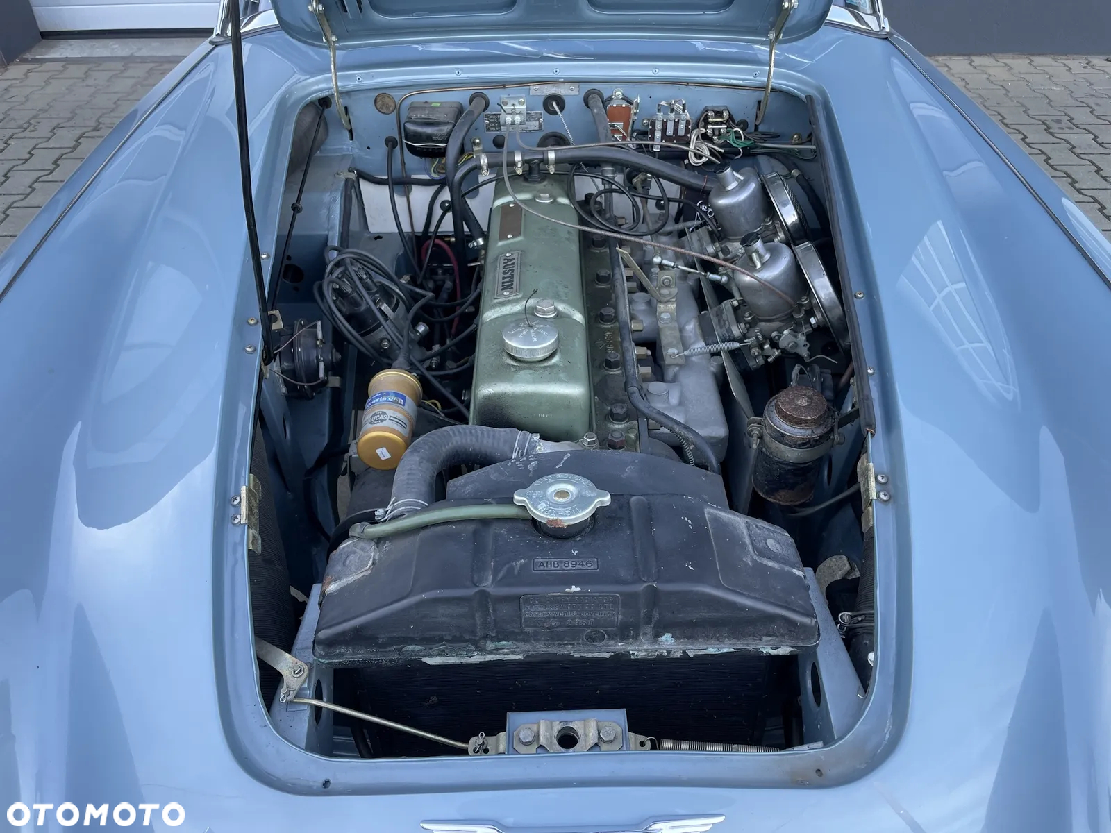 Austin Healey - 8