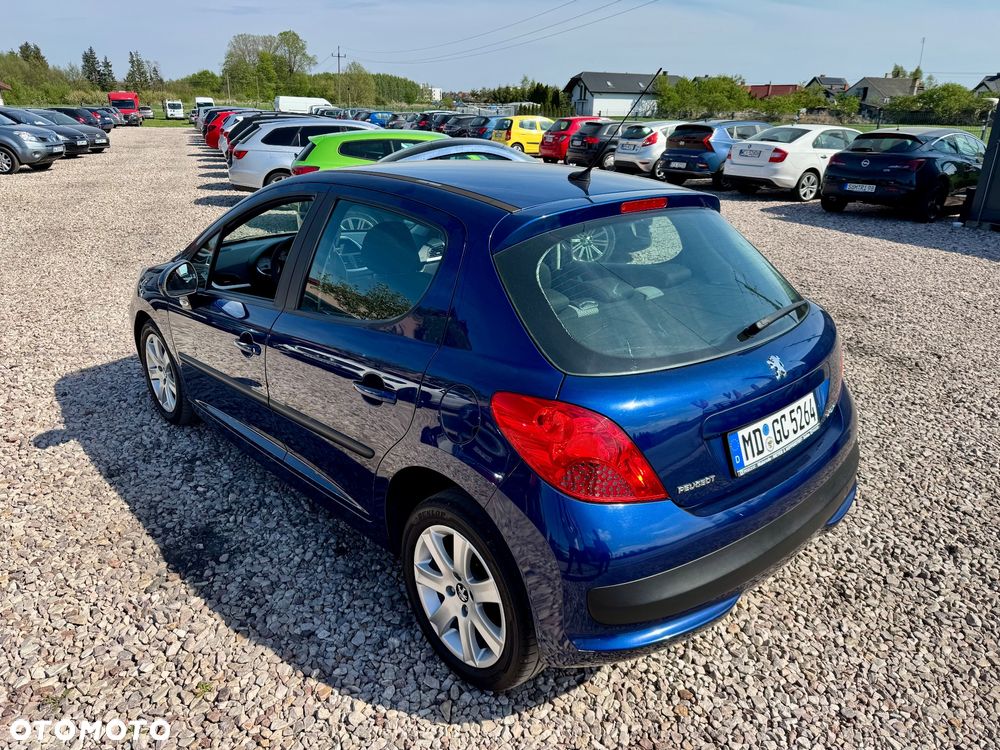 Peugeot 207 - 5