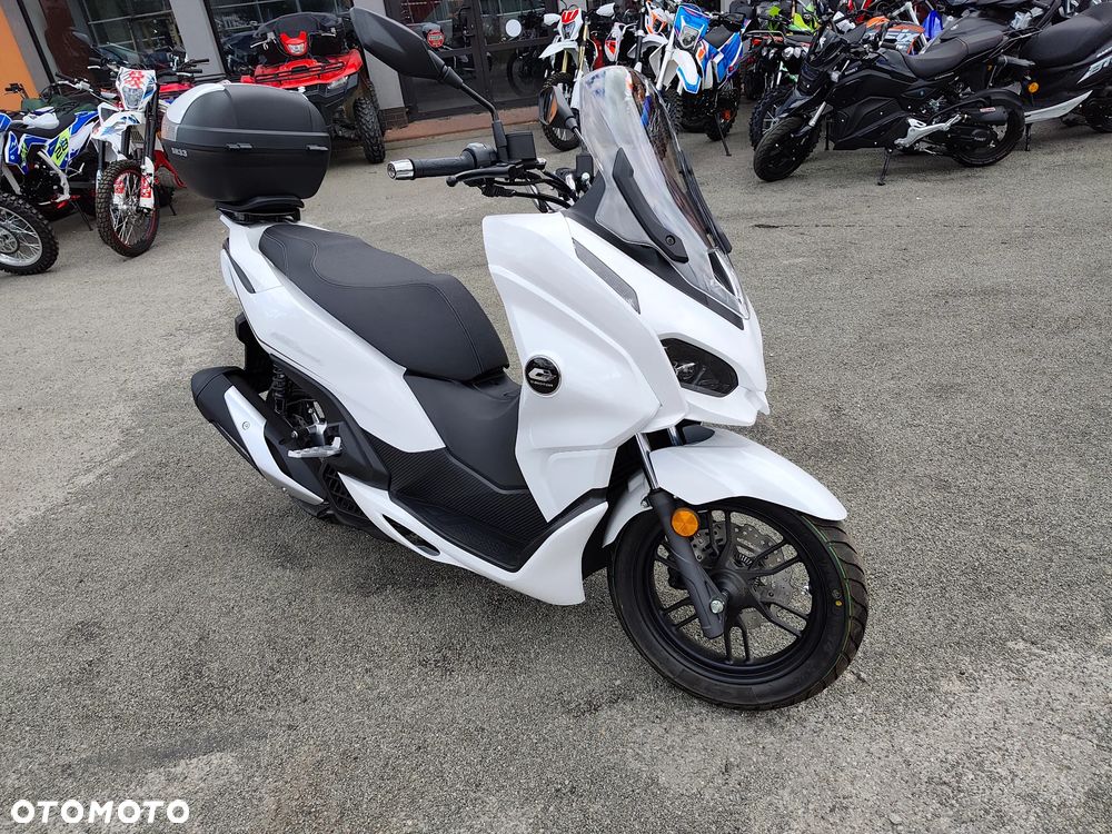 QJMOTOR MTX 125 - 20