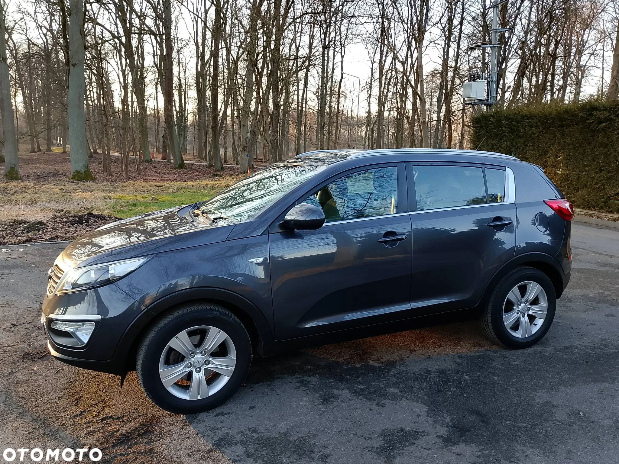 Kia Sportage - 1