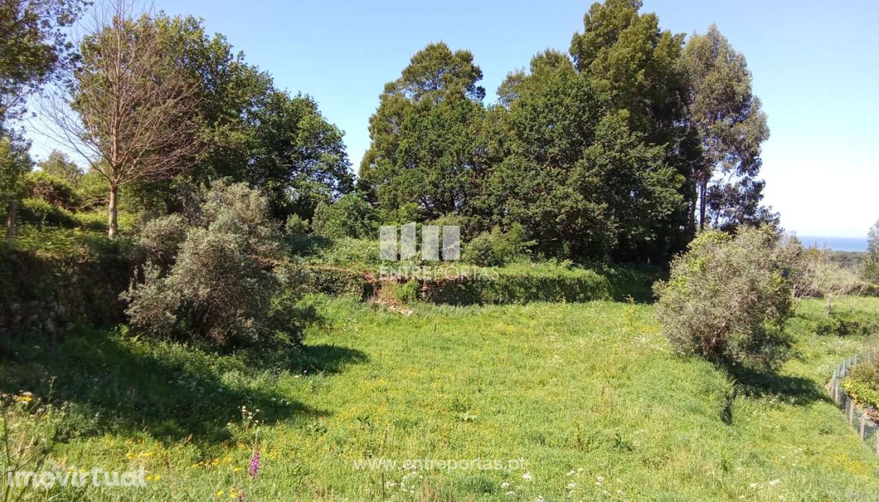 Terreno para venda, Cristelo, Caminha - Grande imagem: 5/14