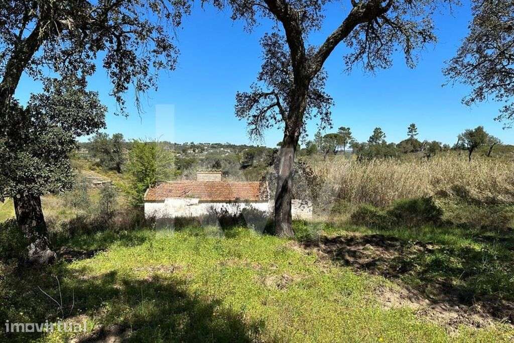 Terreno 5,1ha Montargil - Grande imagem: 5/19