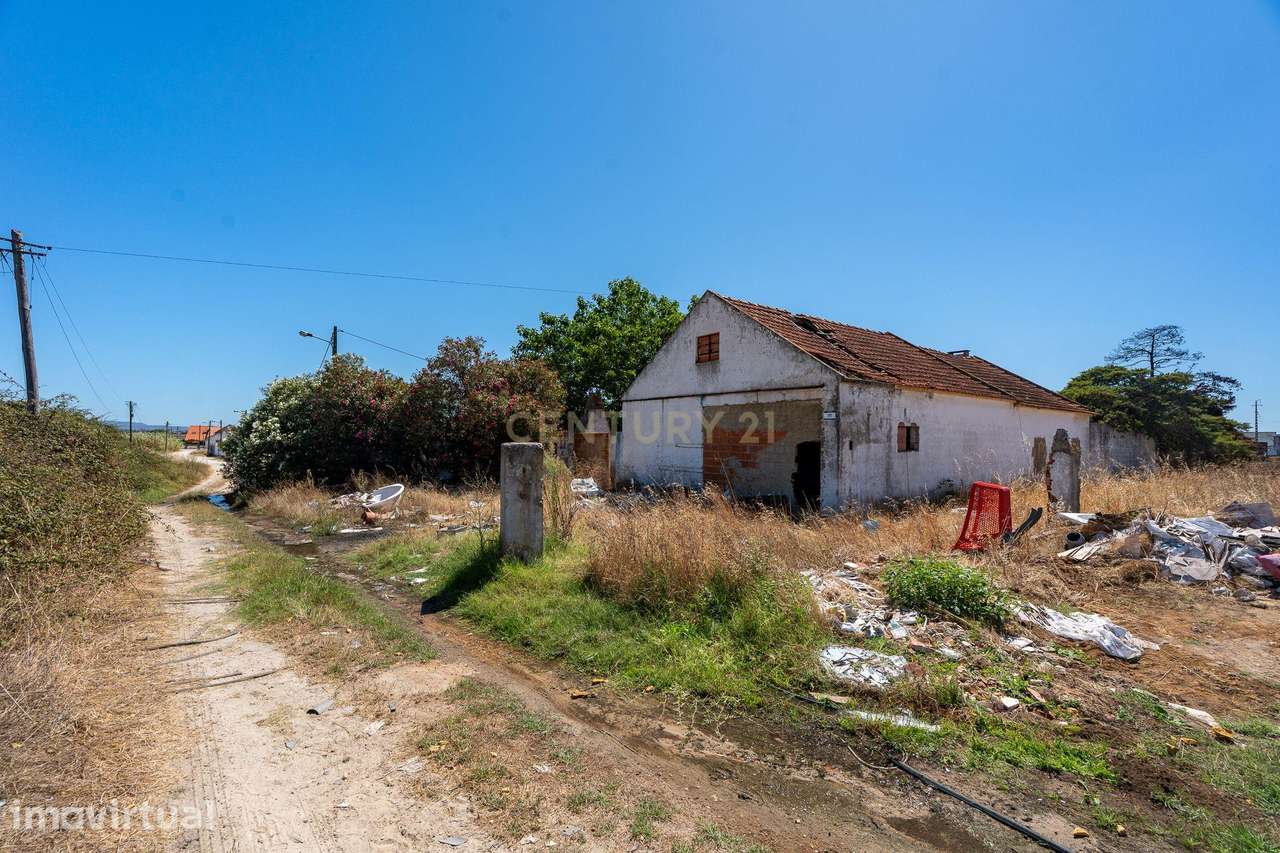 Terreno, 10 105 m², Montijo e Afonsoeiro - Grande imagem: 3/12