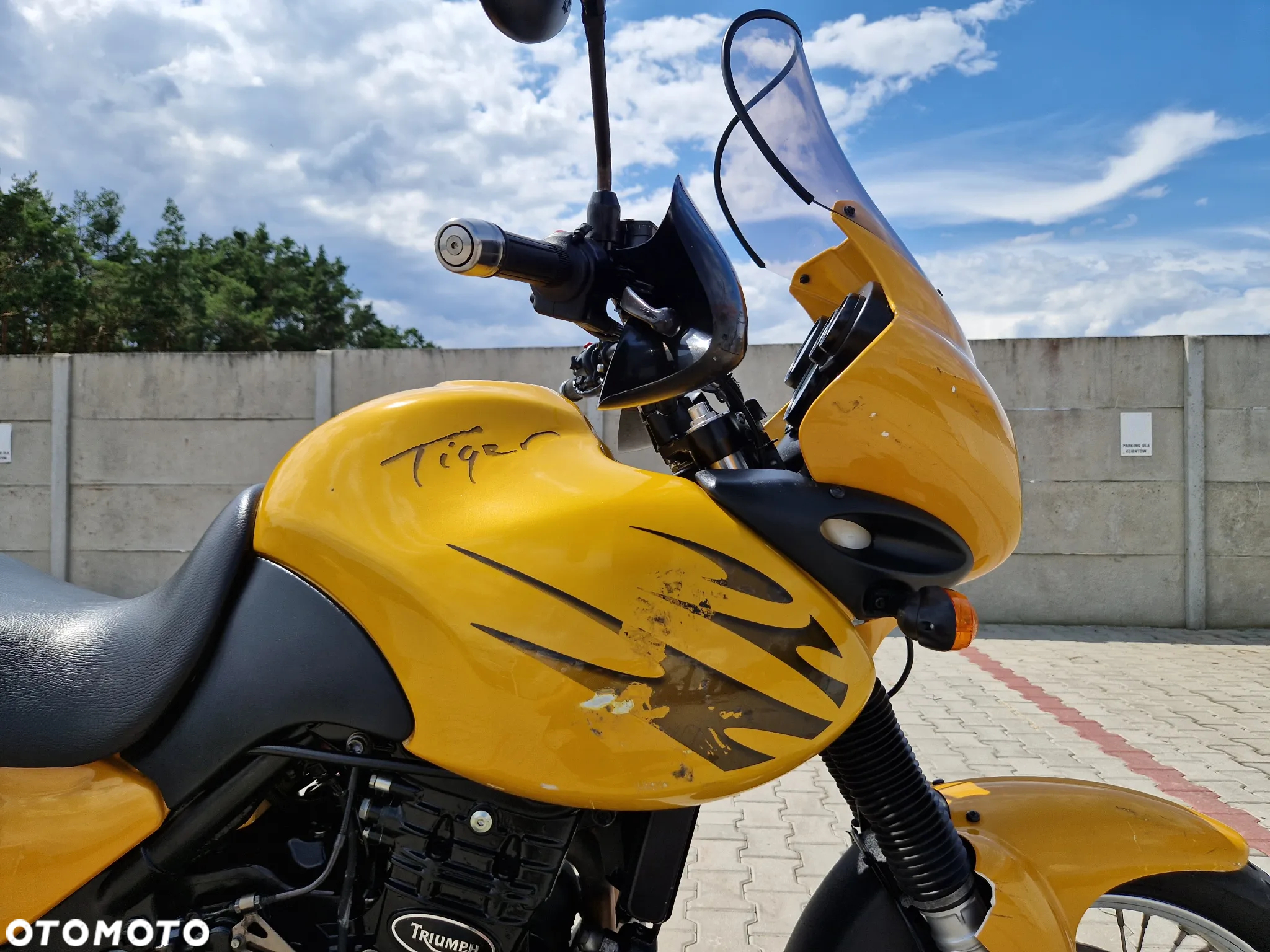 Triumph Tiger - 36