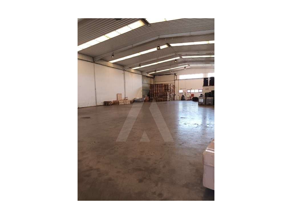 Armazém em Zona Industrial de Albergaria-a-Velha! - Grande imagem: 4/19