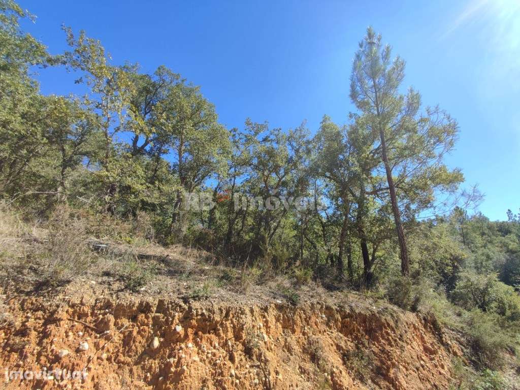Terreno rústico com 11600m² - Vale da Lapa, Chãos - Grande imagem: 4/28