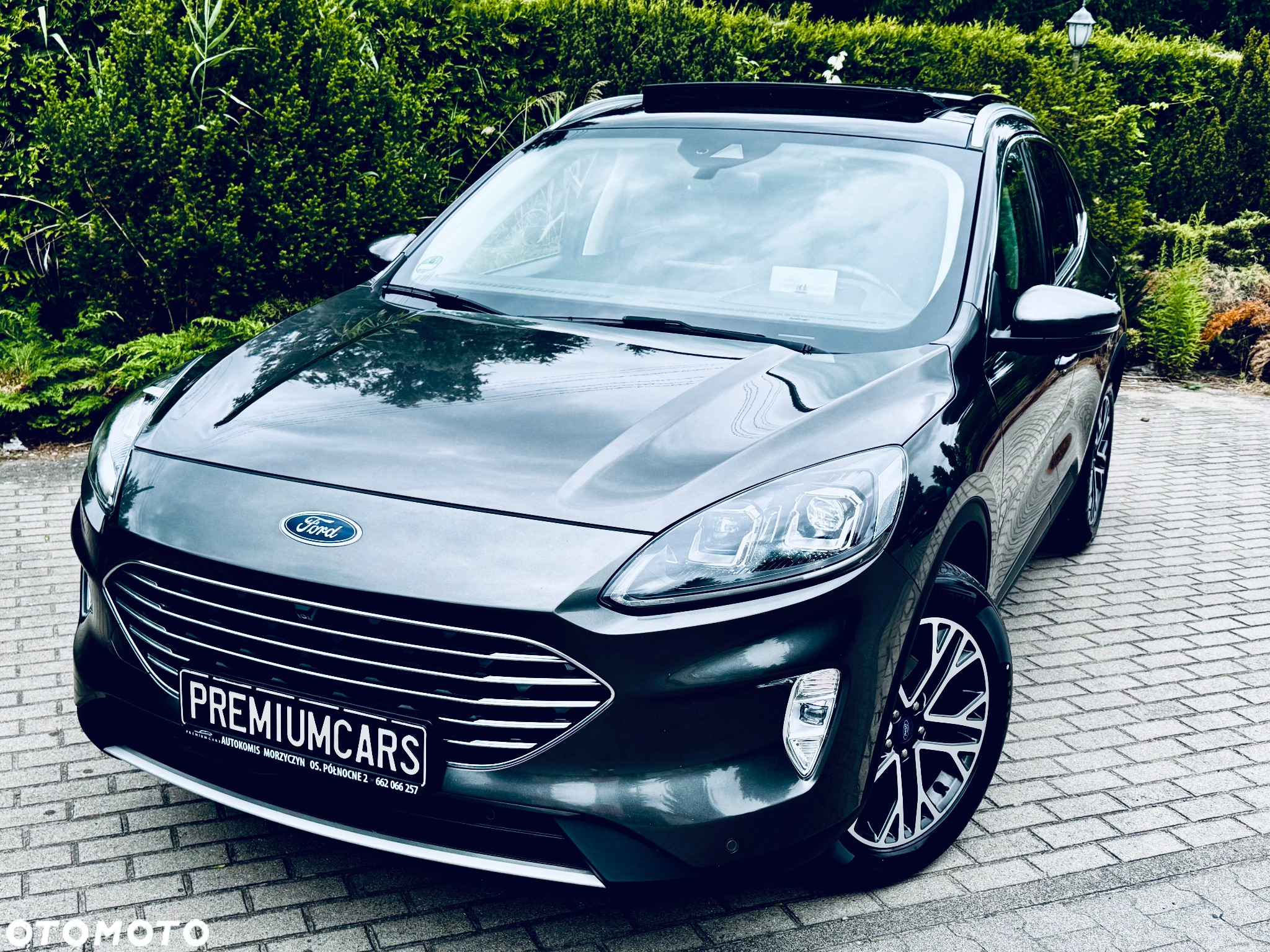 Ford Kuga 2.0 EcoBlue 4x4 TITANIUM - 2