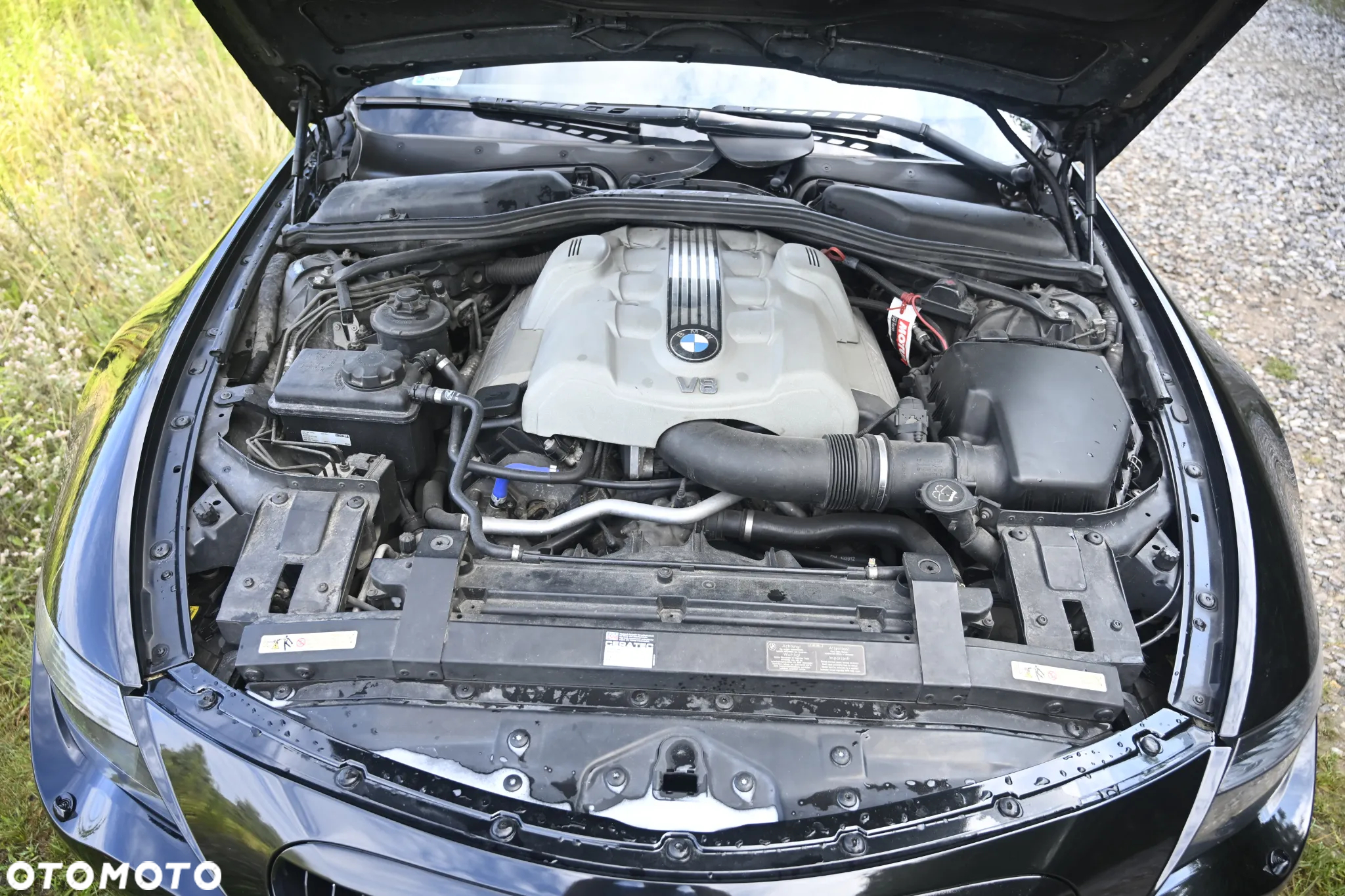 BMW Seria 6 645Ci - 9