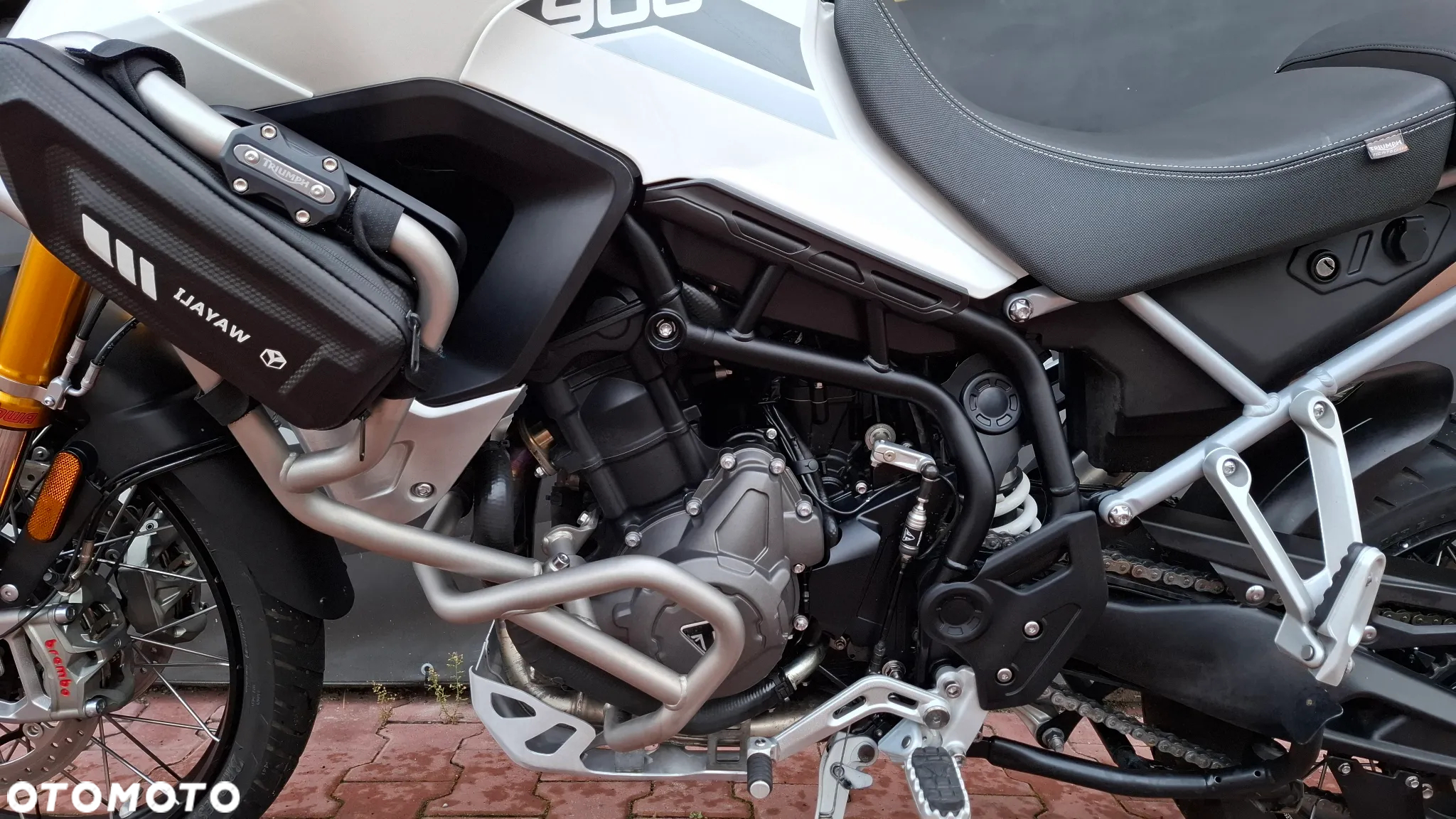 Triumph Tiger - 12