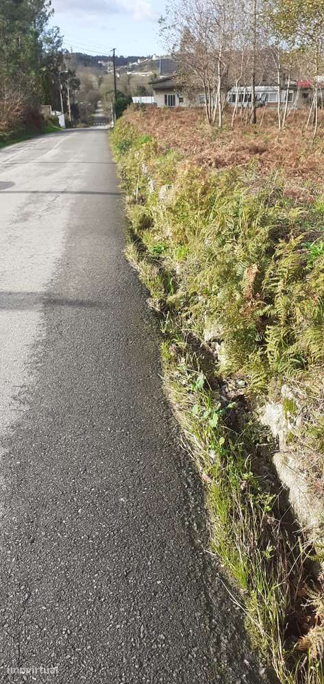 Terreno em Lobão - Grande imagem: 5/18