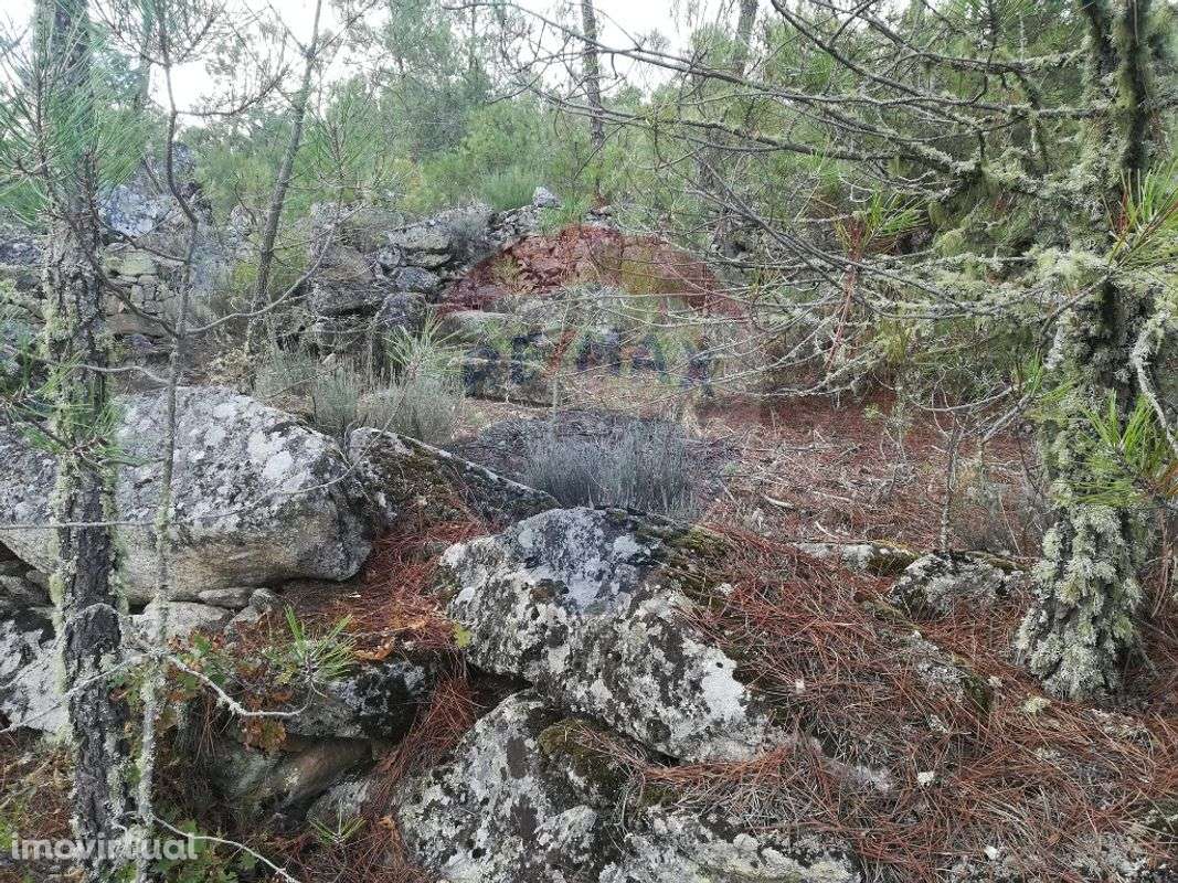 Terreno  para venda - Grande imagem: 3/5