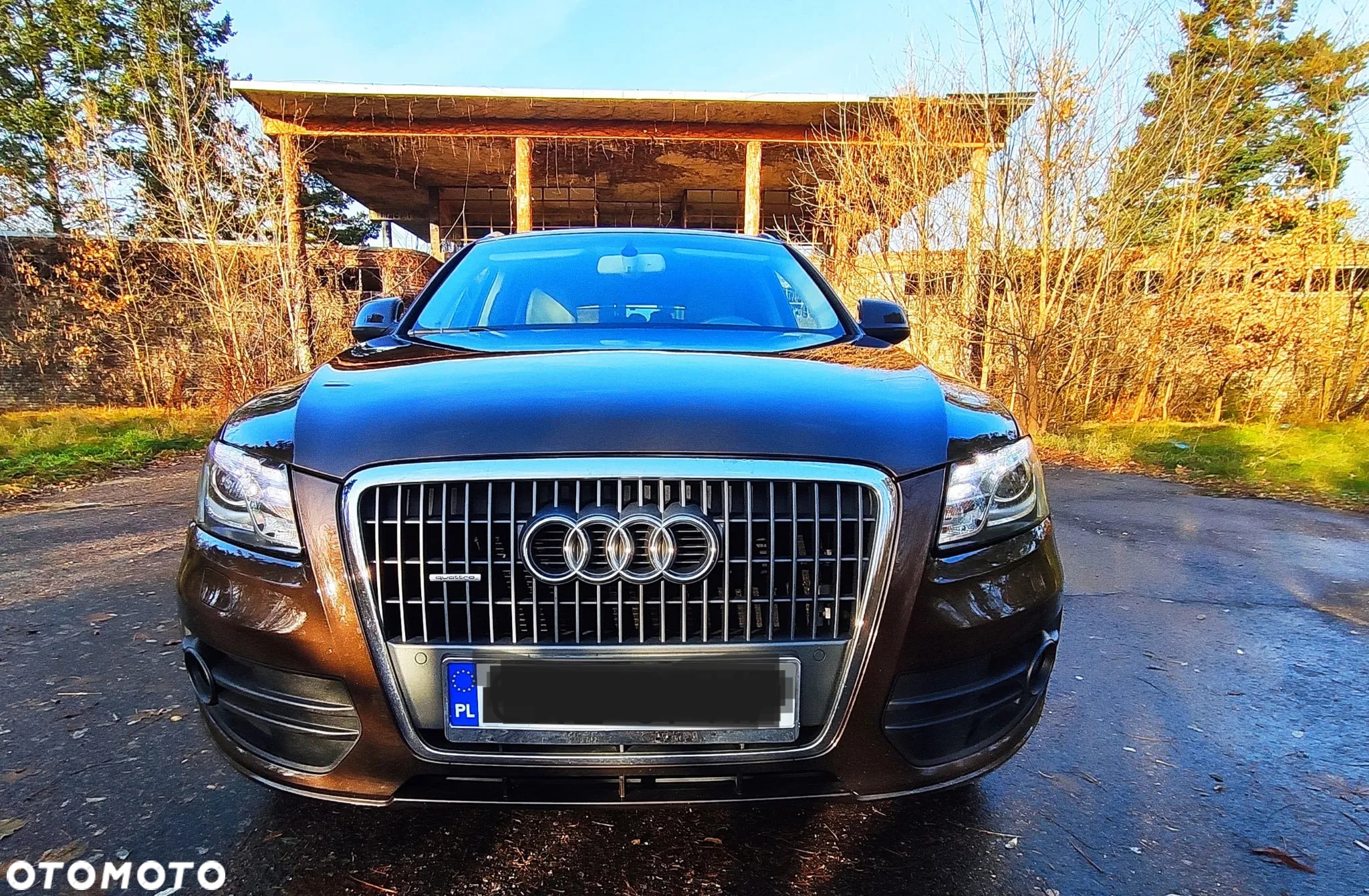 Audi Q5 - 10