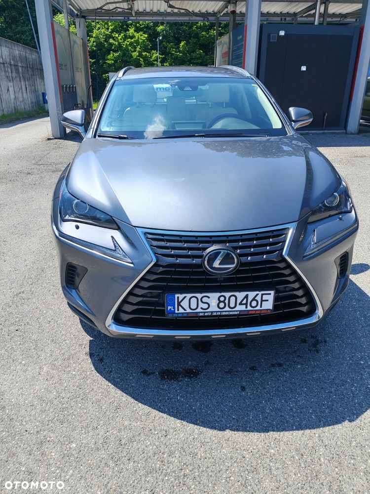 Lexus NX 300h Business Edition AWD - 11