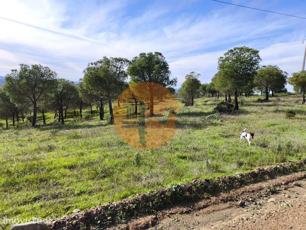 TERRENO COM 96.120 m² - COM POSSIBILIDADE DE CONSTRUÇÃO - VISTA LAG... - Grande imagem: 5/25