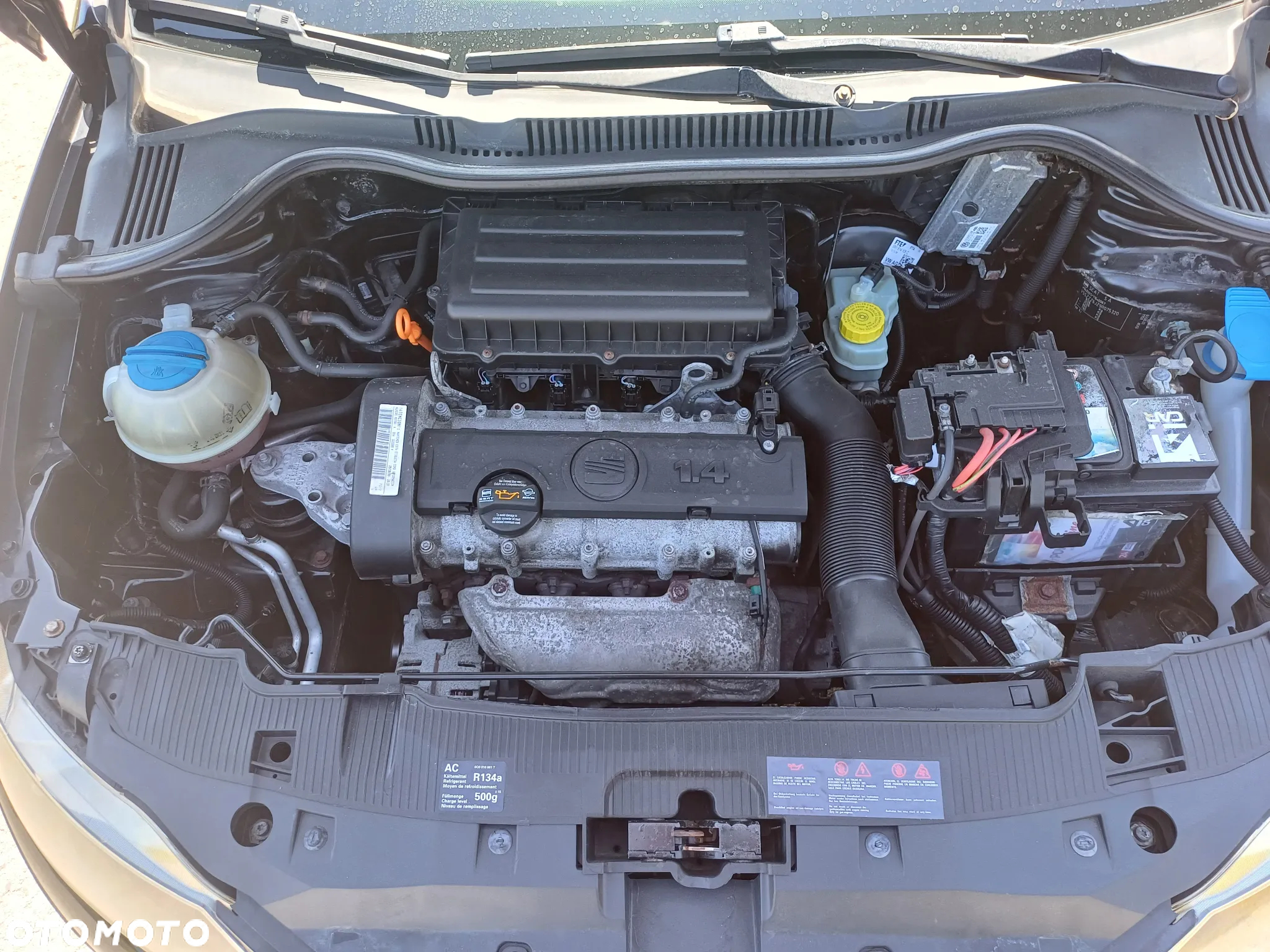 Seat Ibiza 1.4 16V Style - 20