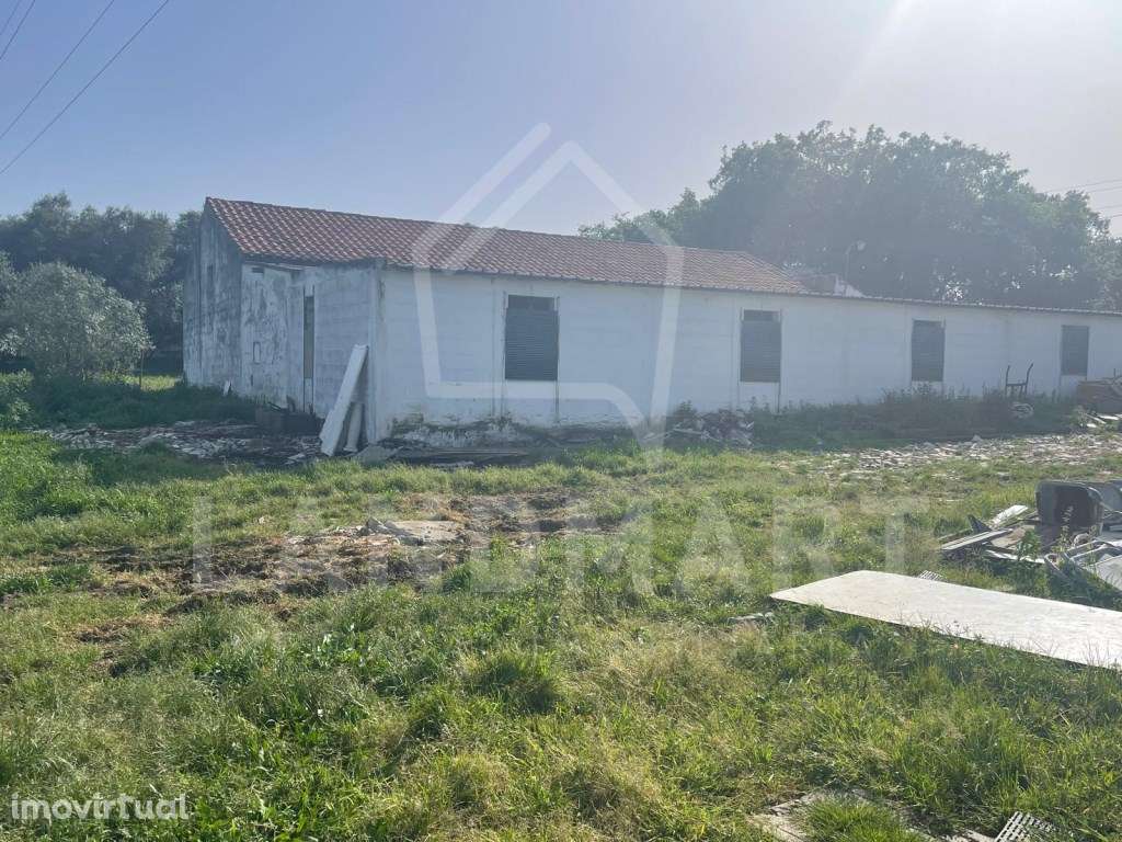 Pecuária e Terreno, Casal da Lagoa - Turquel - Grande imagem: 2/5