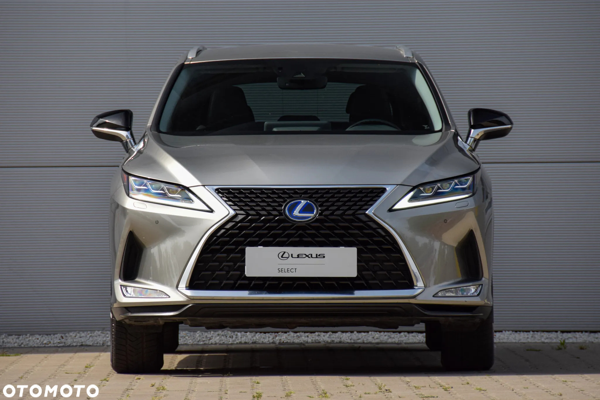 Lexus RX 450h F-Impression - 14