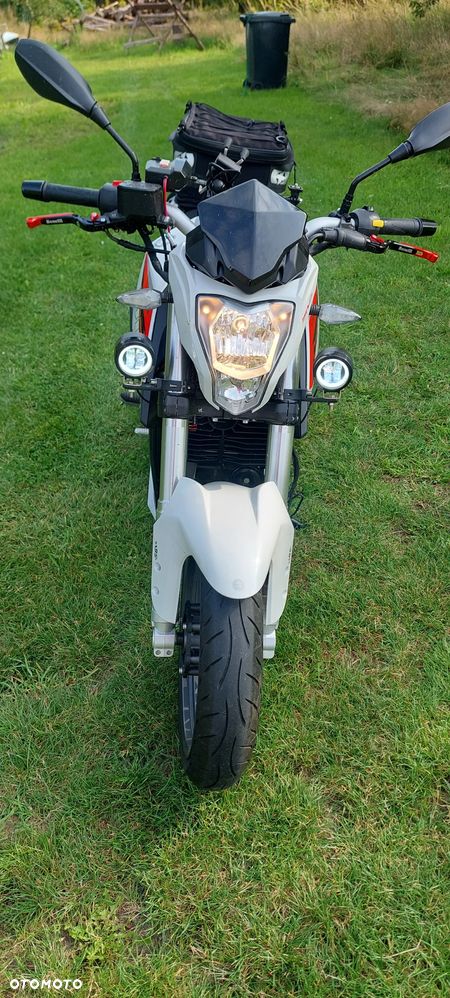 Benelli BN 251 - 1