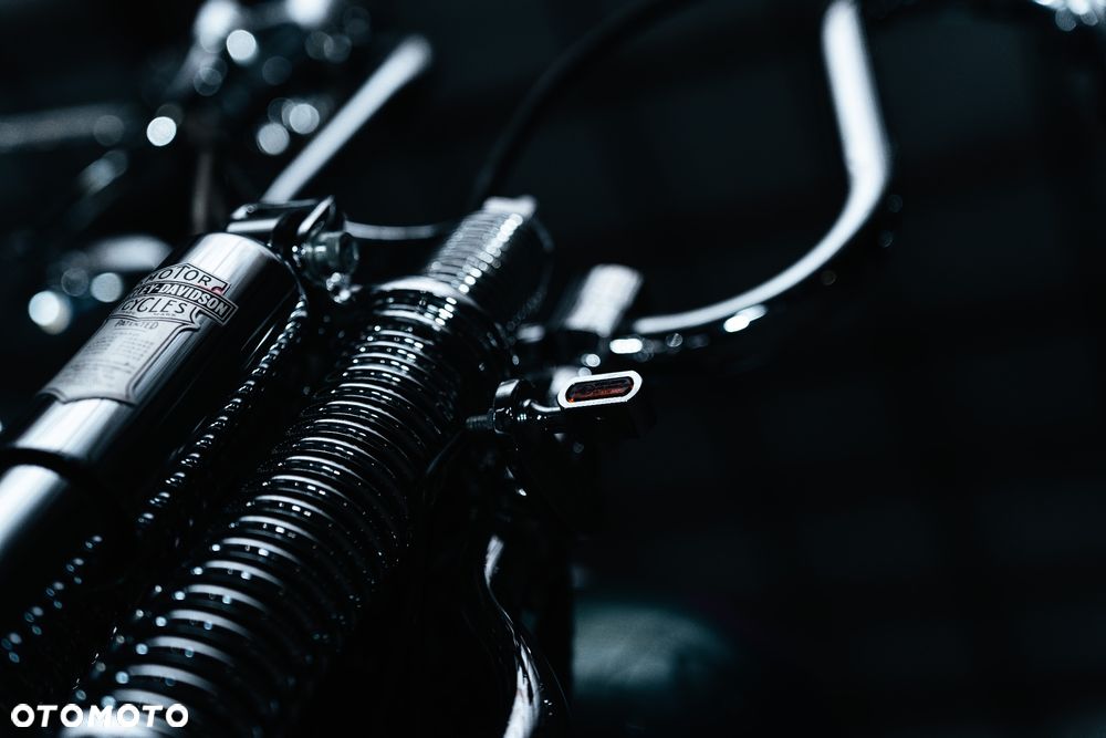 Harley-Davidson Softail Springer Classic - 28