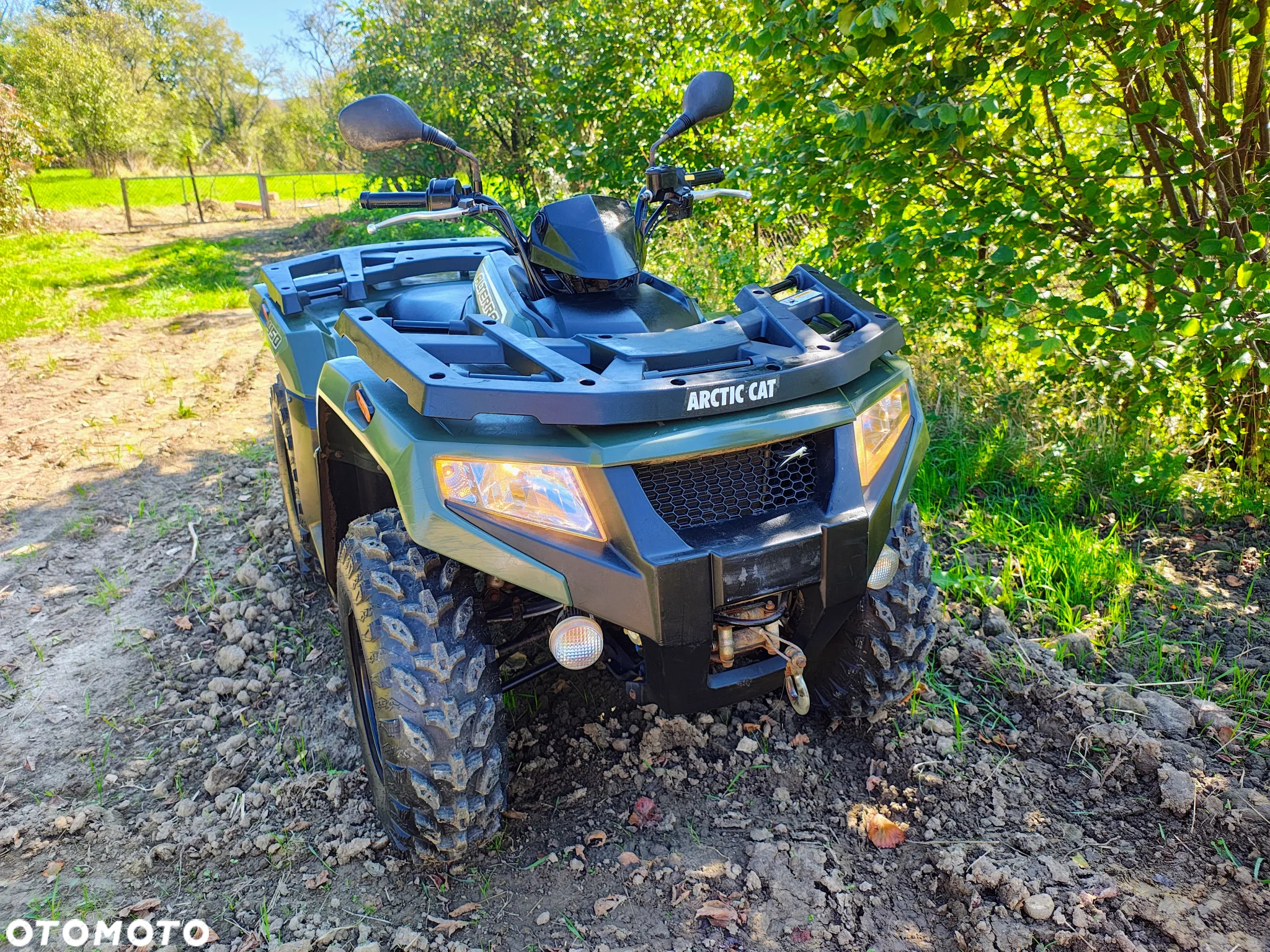 Arctic Cat Inny - 9