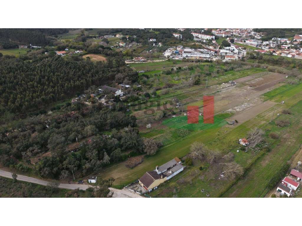 Terreno rústico Rio Maior***RIOMAGIC*** - Grande imagem: 5/11