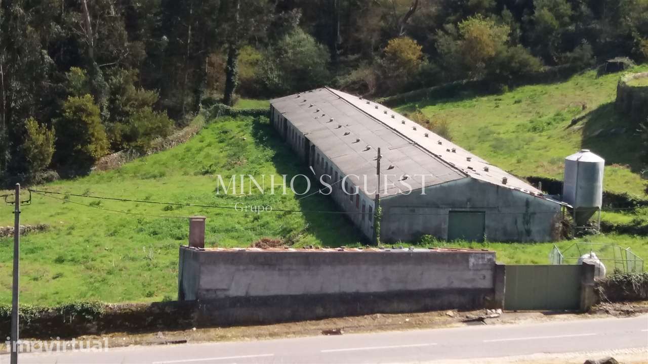 Terreno c/ 9000m2 para projeto Particular e/ou Comercial - Caminha - Grande imagem: 2/9