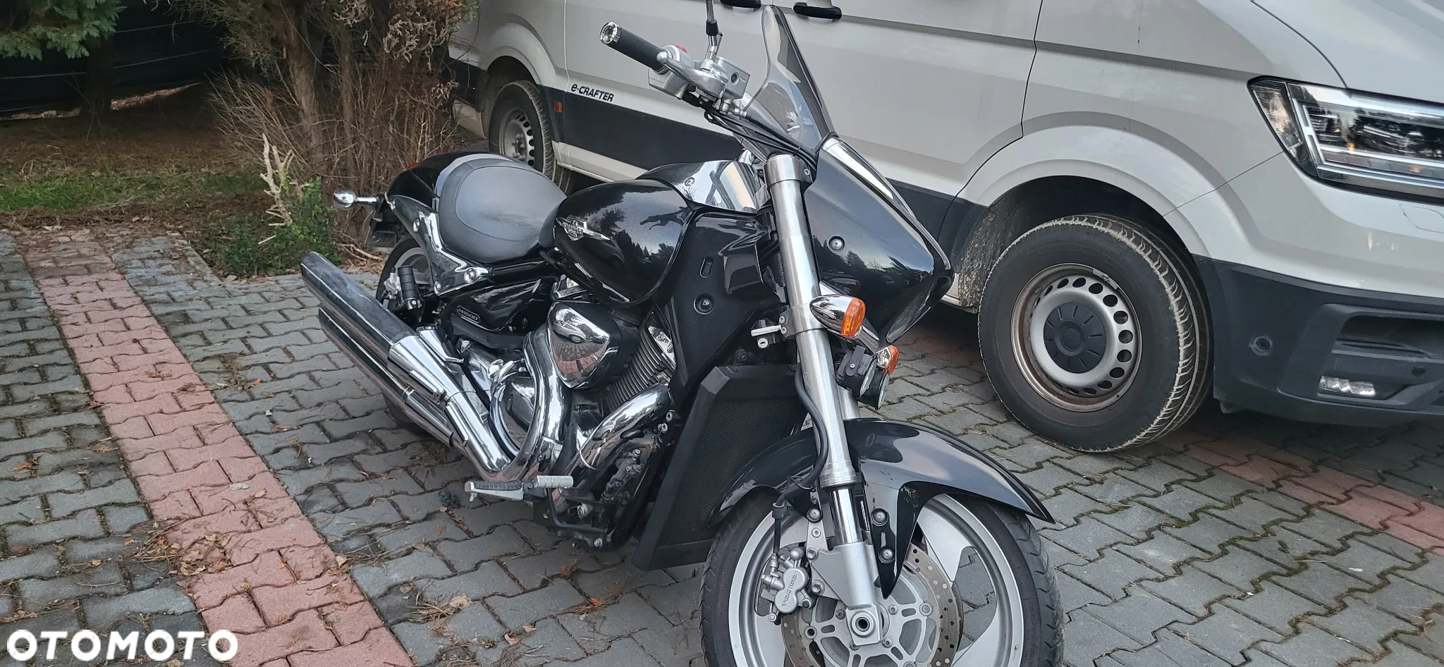 Suzuki Intruder - 9