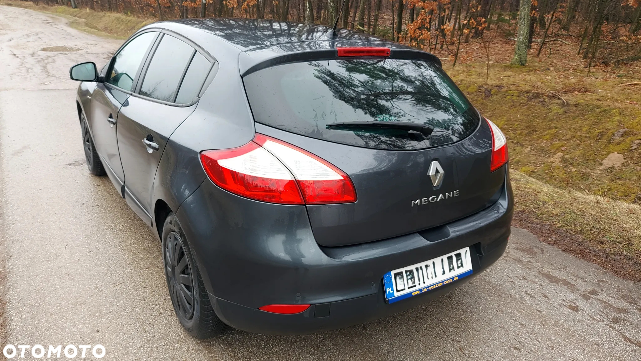 Renault Megane 1.6 16V Limited - 6