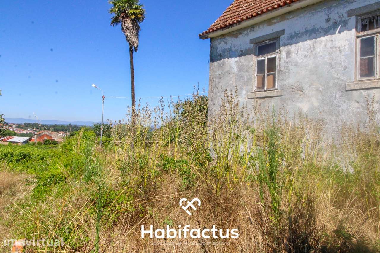 Quinta para Venda em Mangualde - Grande imagem: 5/16