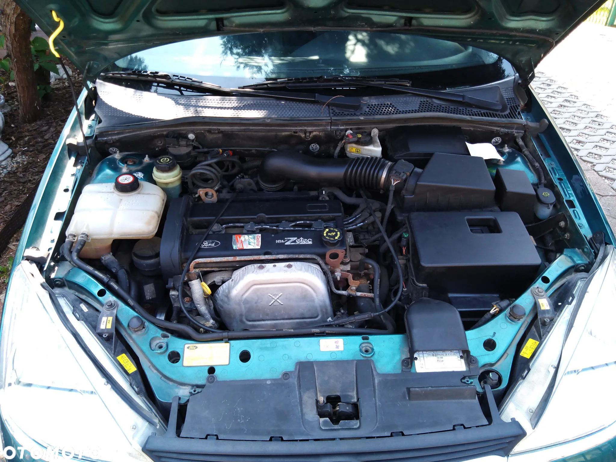 Ford Focus - 8
