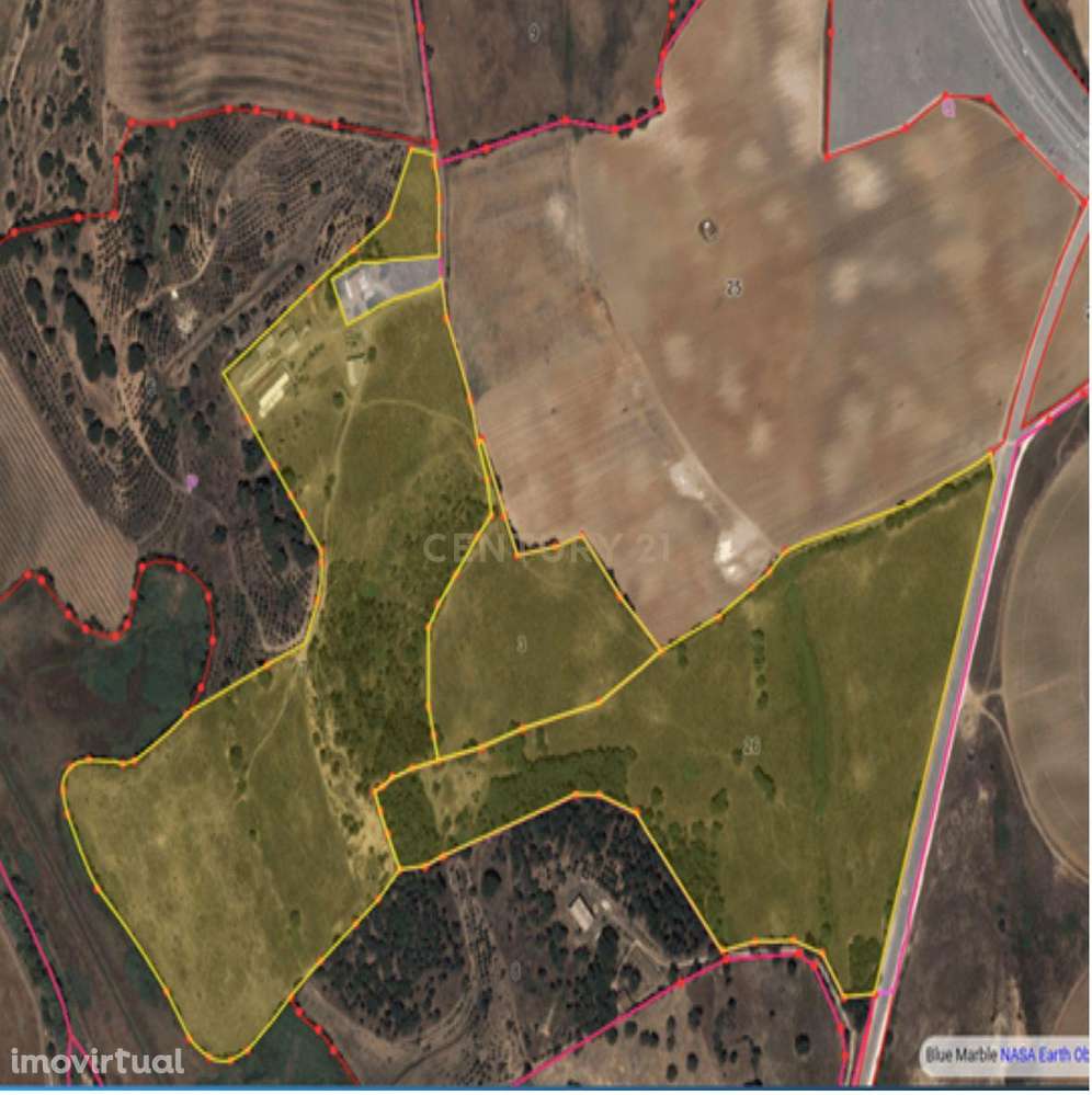 Quinta com 24 hectares no centro de Santarém – Excelente oportunidade - Grande imagem: 5/60