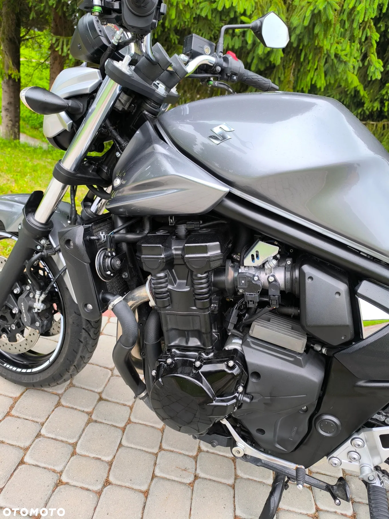 Suzuki Bandit - 13